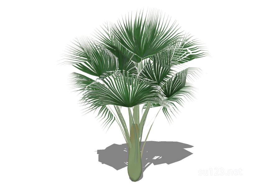 户外植物树68SU模型草图大师sketchup模型