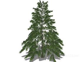 户外植物树53SU模型