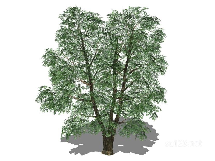 户外植物树24SU模型草图大师sketchup模型