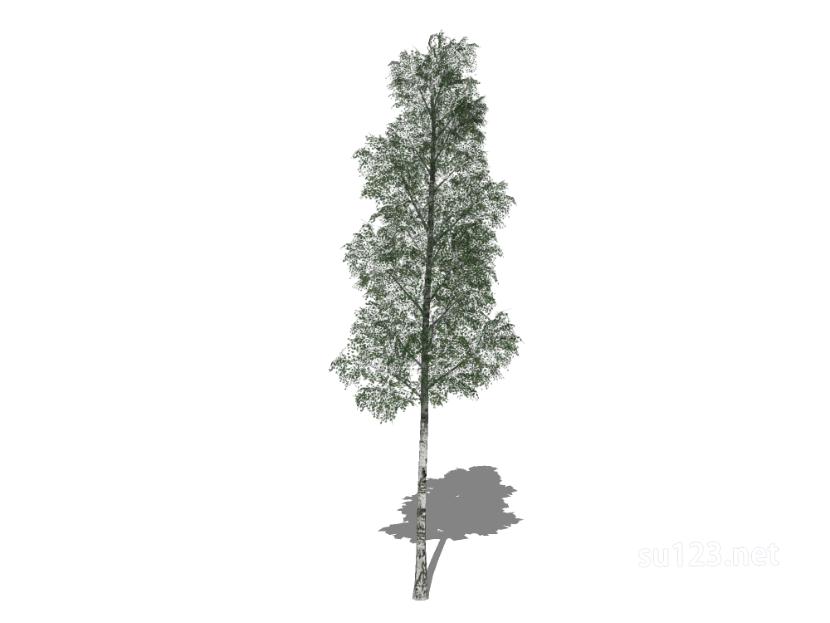 户外植物树26SU模型