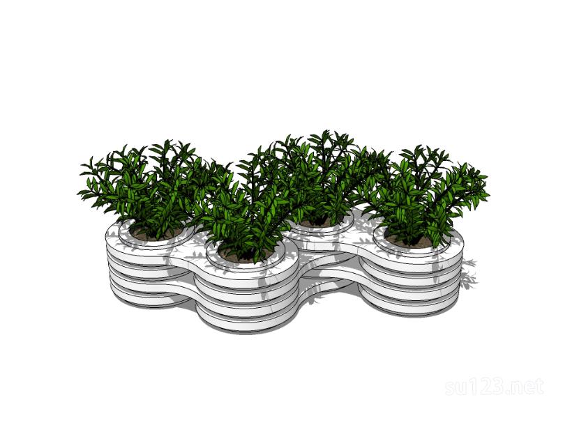 户外植物树3SU模型草图大师sketchup模型