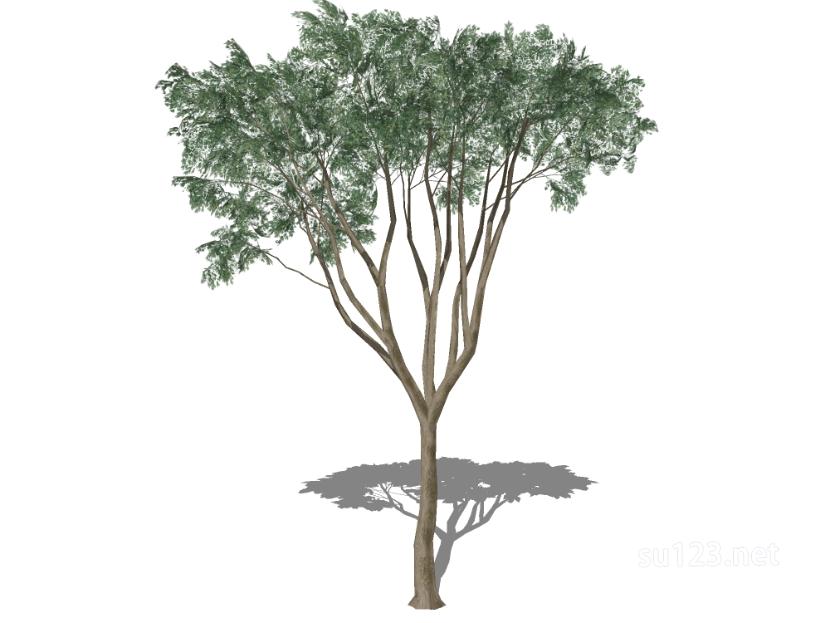 户外植物树28SU模型
