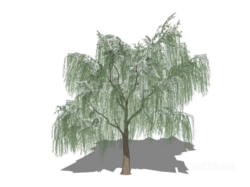 户外植物树12SU模型