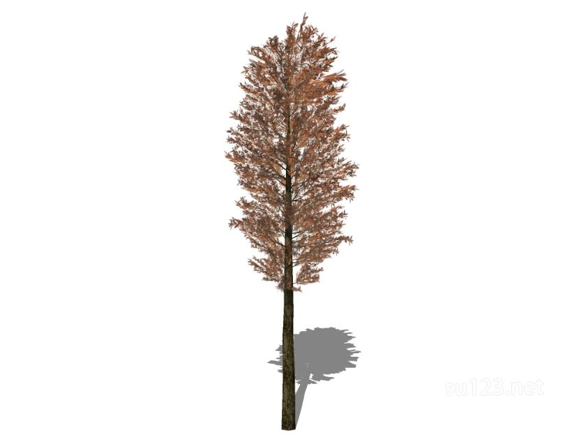 户外植物树60SU模型